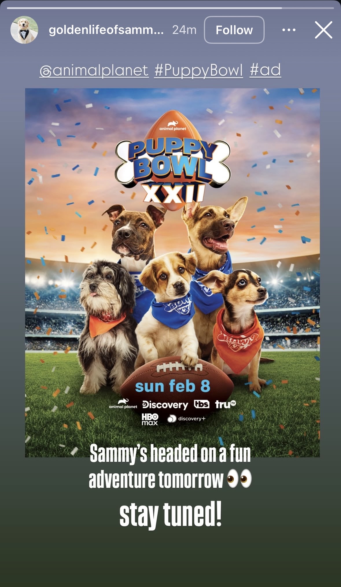Golden Life Of Sammy Instagram Story (pre - Event)